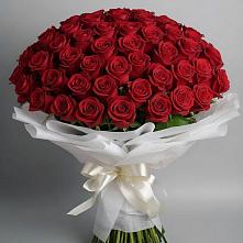 Букет 101 Красная роза Блэк Мэджик в Силикатном