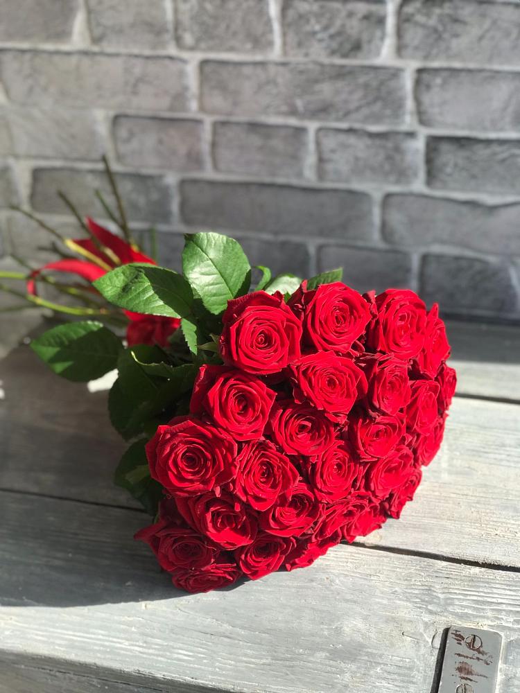 Букет Красные розы Фридом в Силикатном