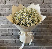 Букет цветов из:  Ромашки #REPLACE_PRED# Силикатном
