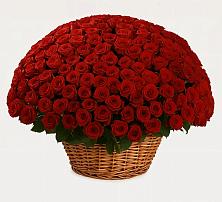 Премиум букет из: Розы в Силикатном