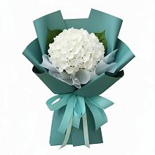 Букет цветов из:  Гортензия #REPLACE_PRED# Силикатном